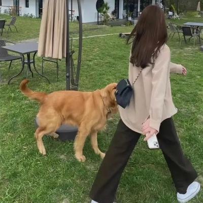 傻爱成真